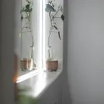 Kisvulkan Nyulontul *