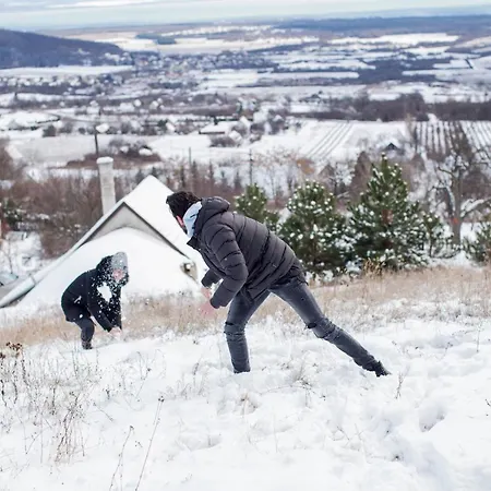 公寓 Kisvulkan Nyulontul