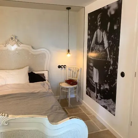 Kisvulkan Nyulontul Apartmán Mencshely