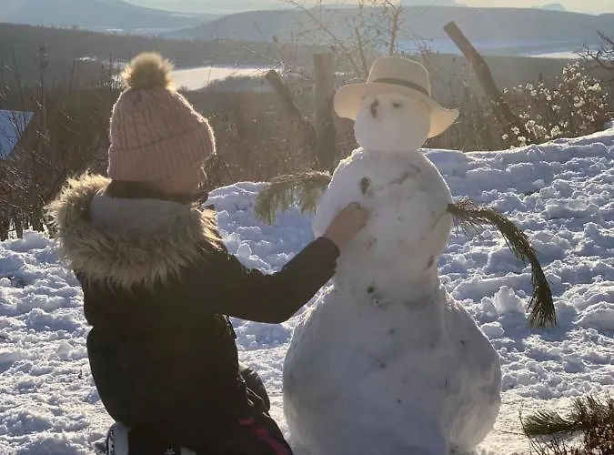 Kisvulkan Nyulontul 公寓