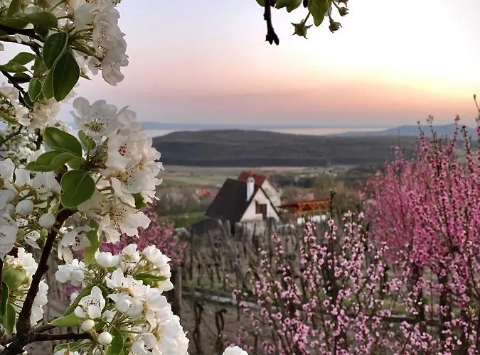 Kisvulkan Nyulontul 公寓 *